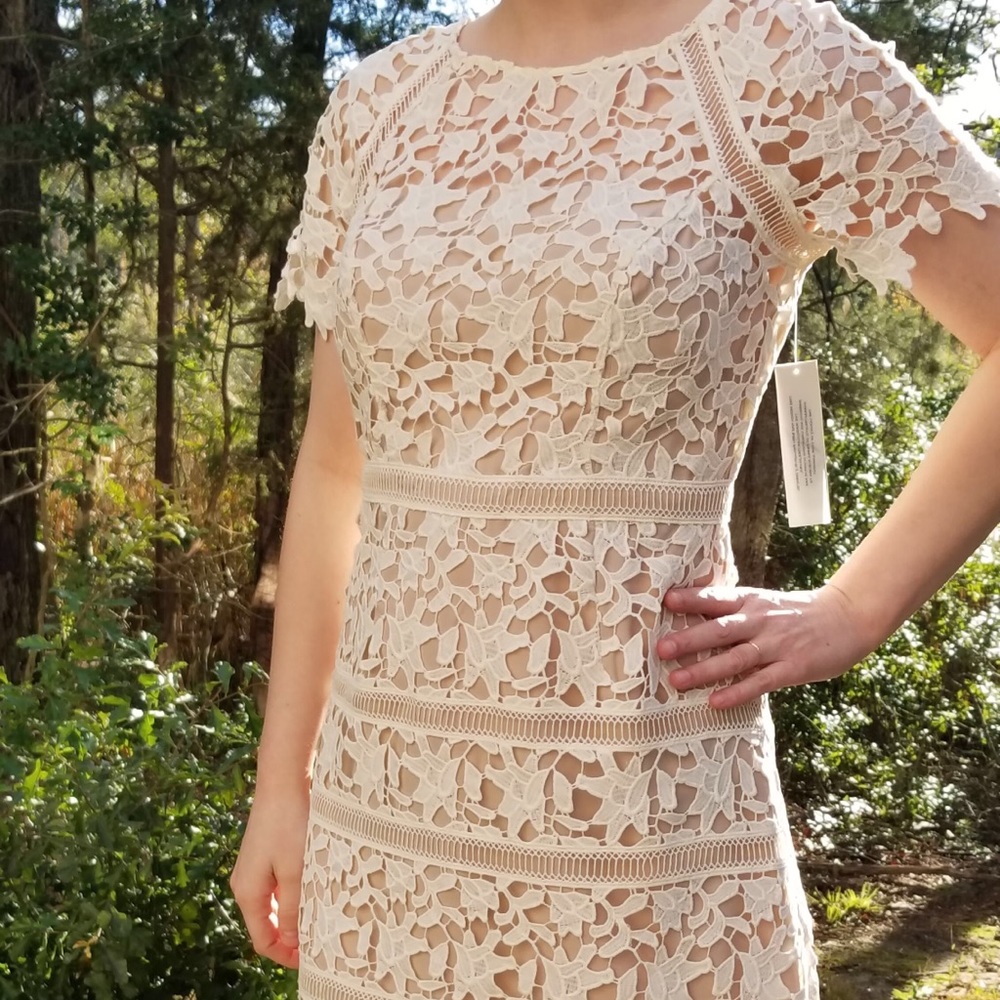 Eliza J, Crochet Overlay Dress